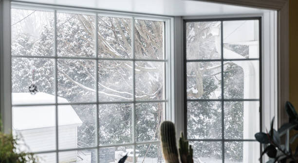 efficient window replacement Ammon ID