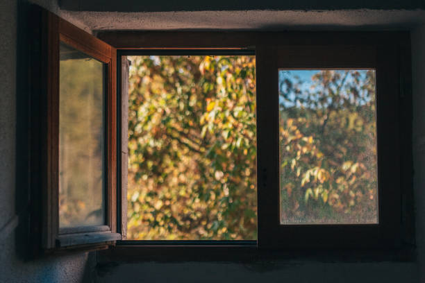 top-rated bay window installation rigby, id