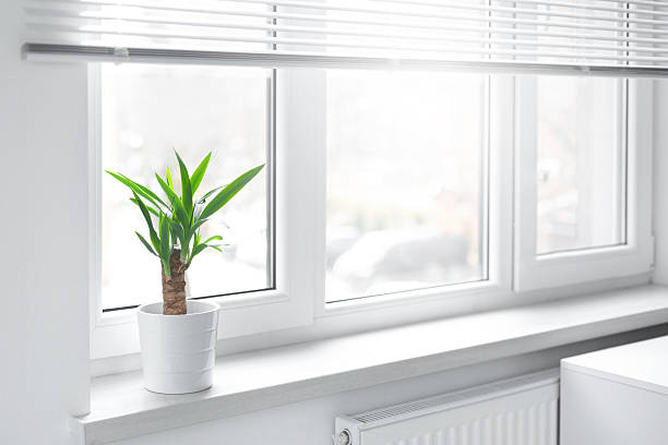 Reliable Window Replacement Ammon ID