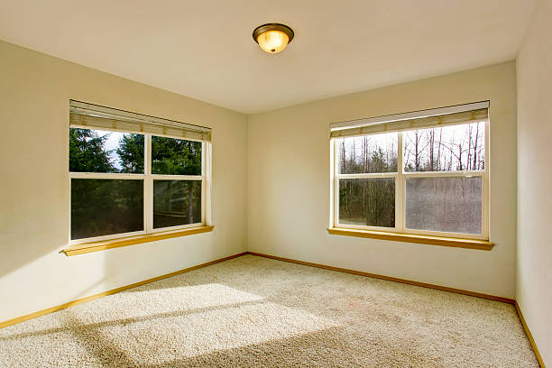 high - quality awing window replacement rigby