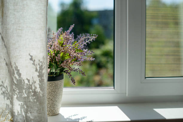 top-rated awning window replacement driggs