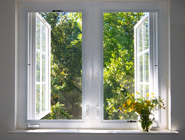 professional double - hung window replacement menan