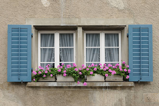 the best double - hung window replacement swan valley id