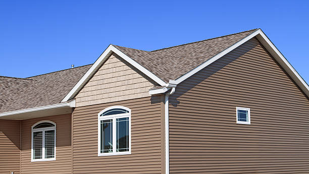 expert energy - efficient window replacement ammon id