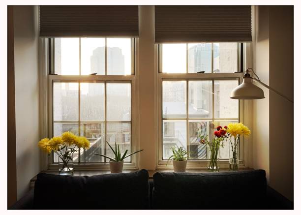 effective energy-efficient window replacement shelly id