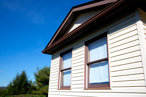 the best picture window replacement ammon id