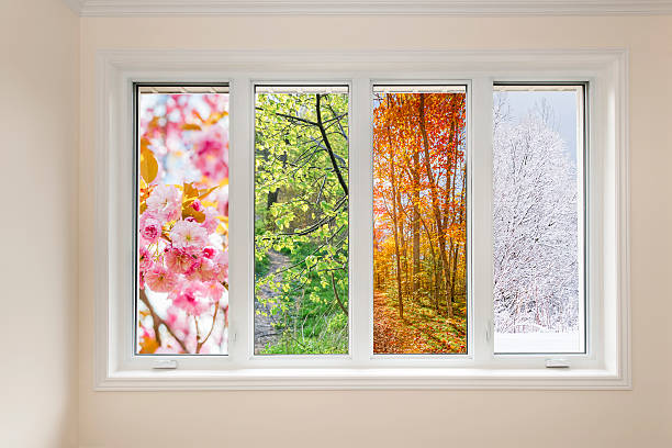 aesthetic picture window replacement driggs