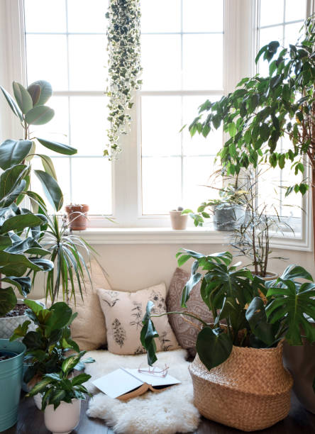 professional window replacement ucon