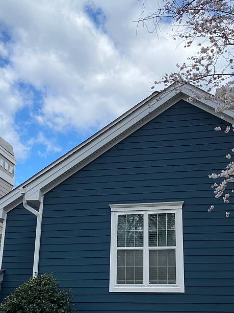 reliable home window replacement ririe