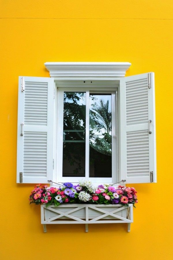 Advanced Energy Efficient Windows in Pocatello ID