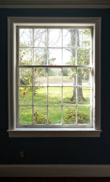 Local Double-Hung Windows replacement services Shelly ID