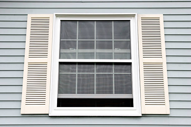 Local double-pane window replacement Rigby ID
