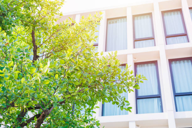 Energy-efficient triple pane windows Ucon ID