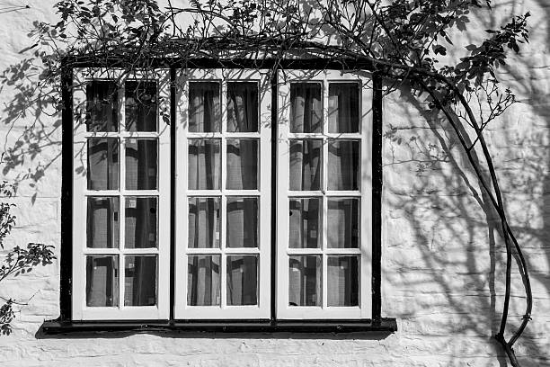 The Best Casement Windows Rigby, ID