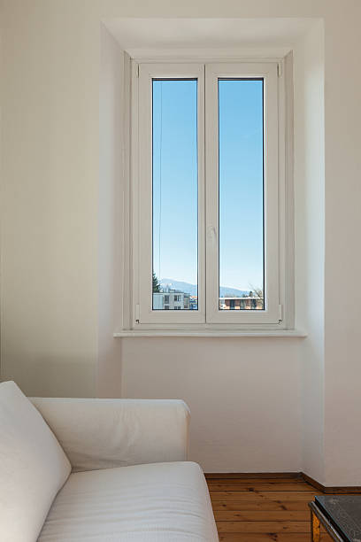 Modern Double-pane Replacement Windows Shelley ID