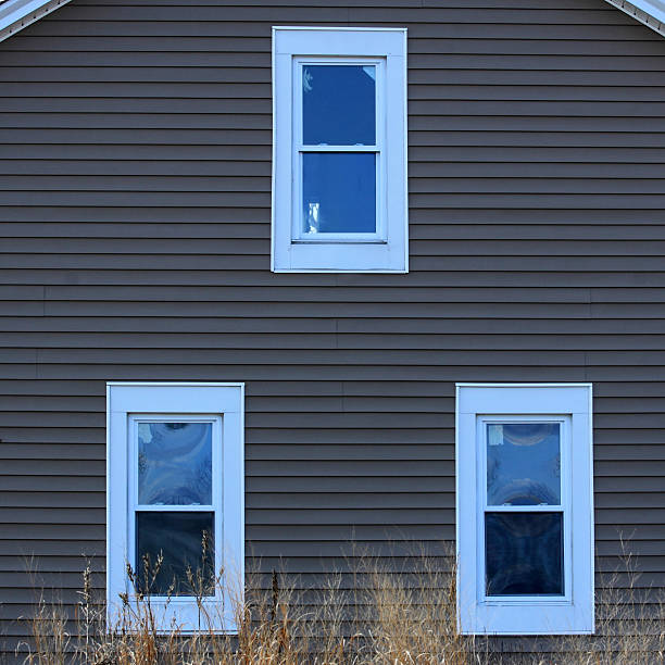 Triple-pane replacement windows Victor ID