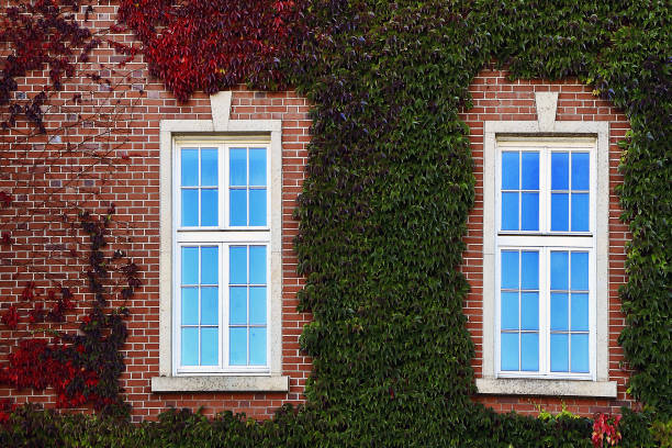 Double-pane vinyl windows Ammon ID