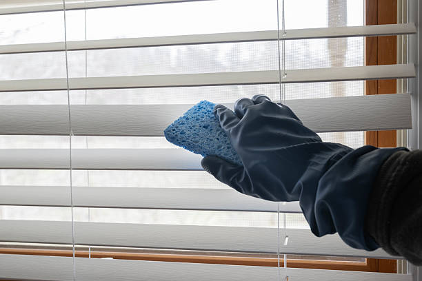 Best Low-E windows Victor ID