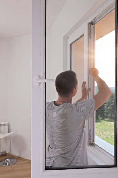 The Best Replacement Windows Driggs, ID