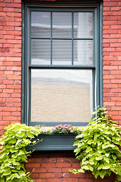 Affordable Double-Hung Windows replacement Ashton ID