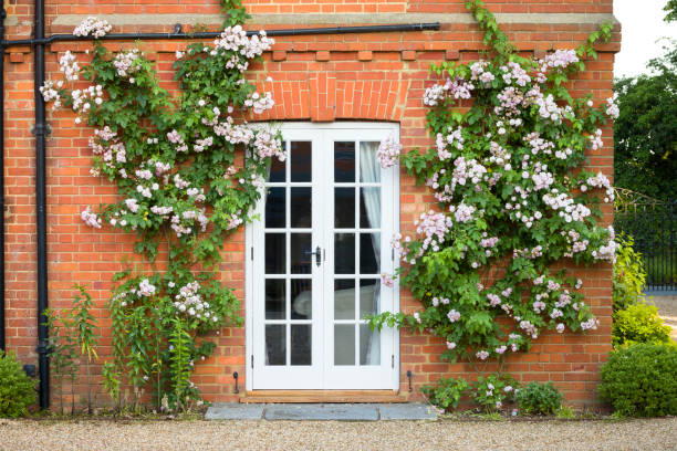 Top-Rated French Door Replacement Driggs ID