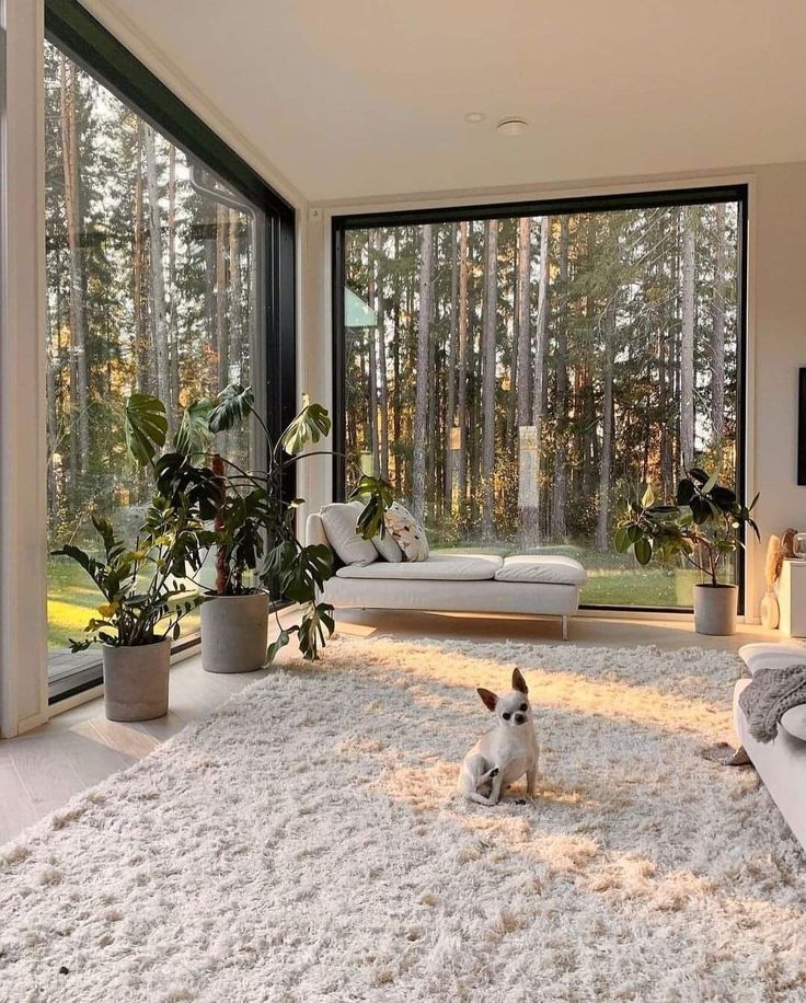 Premium Picture Windows in SE Idaho