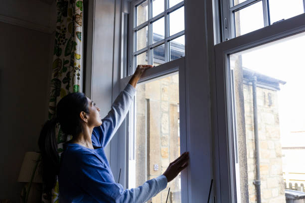 stylish energy efficient window design Ammon, ID